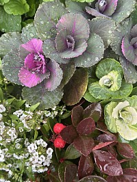 芝生が広がる庭